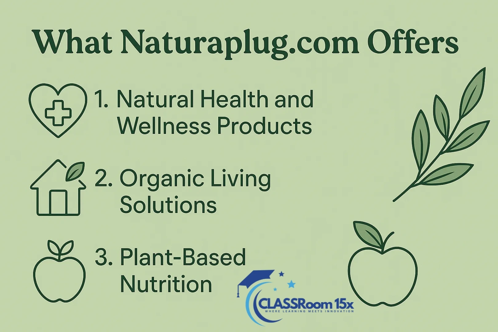 What Naturaplug.com Offers